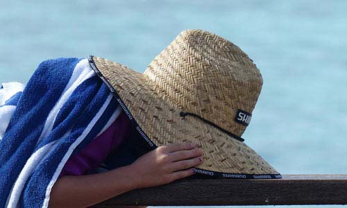 cc攻击免费网页版